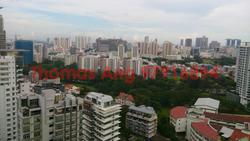 Soleil @ Sinaran (D11), Condominium #88391202